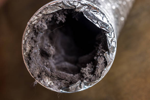 Best Air Vent Cleaning Services  in Paulsboro, NJ